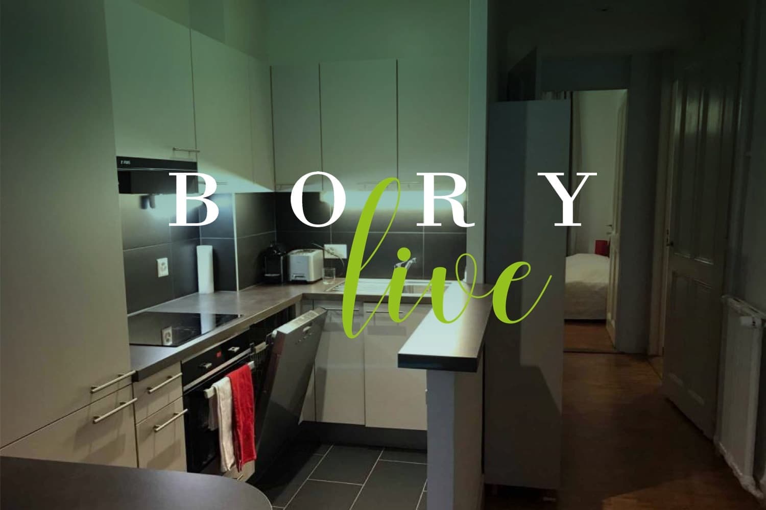 Bory Live