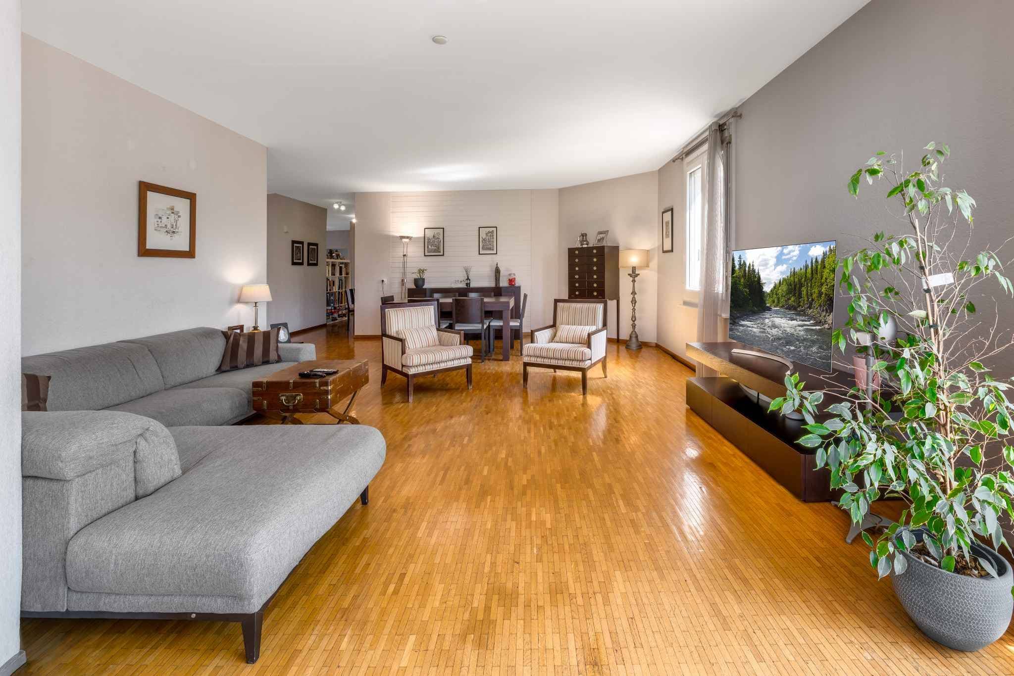 Grand appartement traversant 