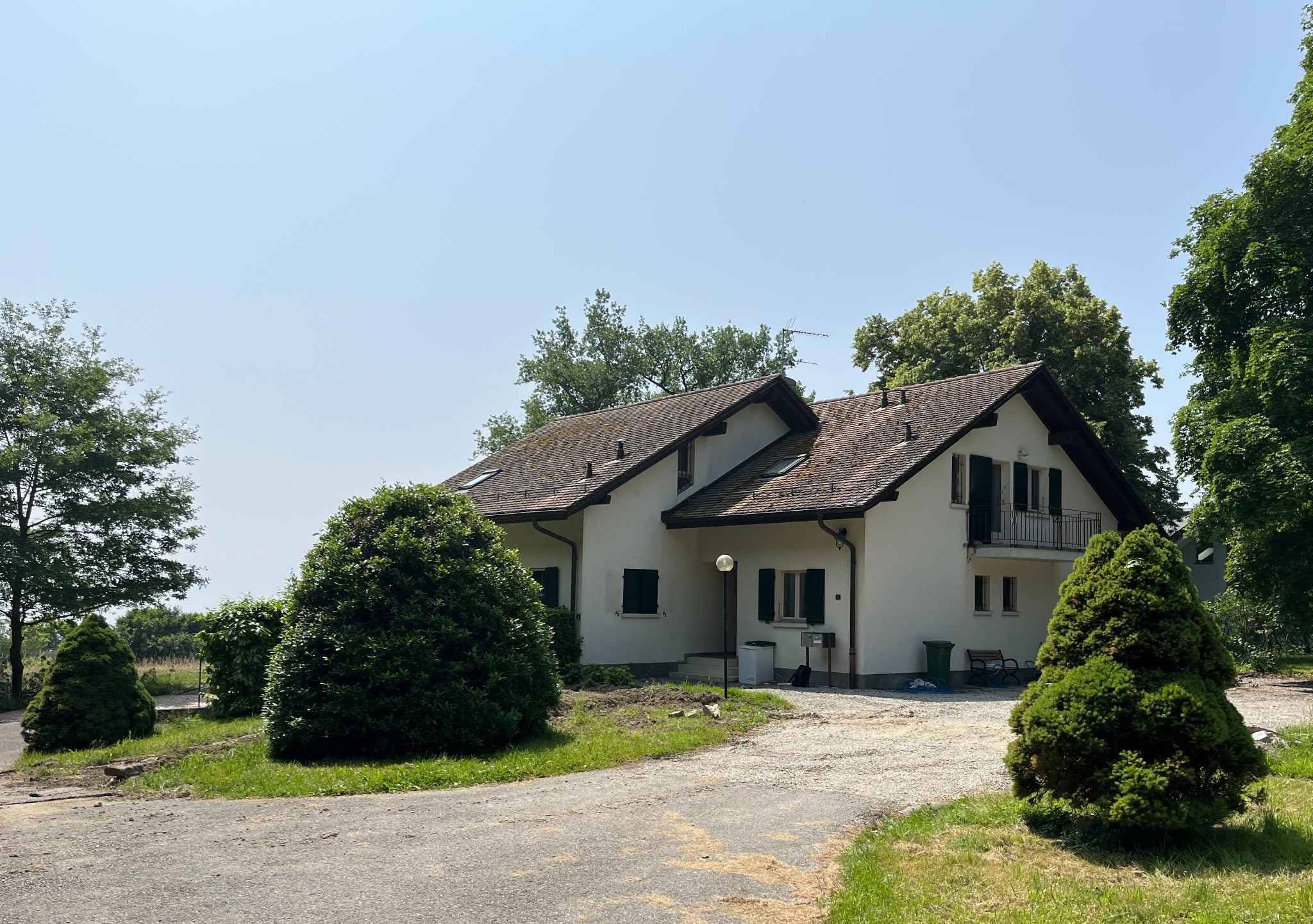 Bursinel
