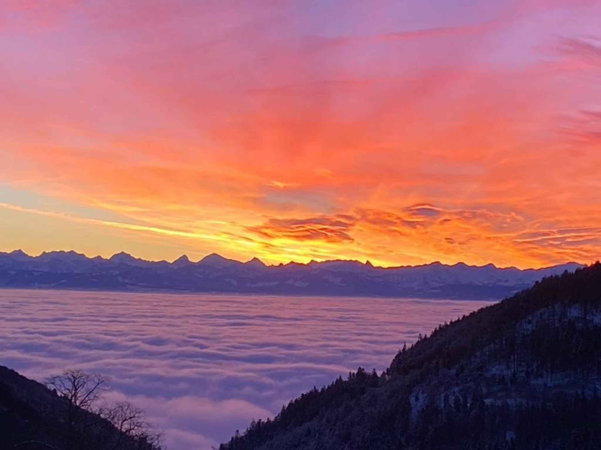 Alpes 33 - 1450 Ste-Croix 